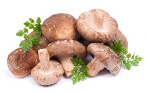 shiitake gomba
